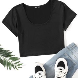 Scoop Neck Solid Crop Tee
